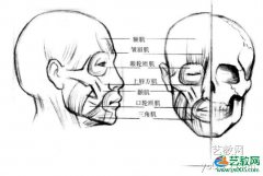 素描基础知识_肖像素描的基本知识