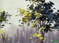 水粉画技法_干湿结合法