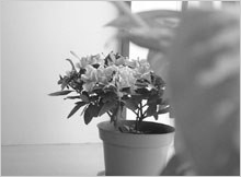 摄影教案（五）镜头 - 深度时尚摄影工作室 - 广州深度时尚摄影工作室 博客