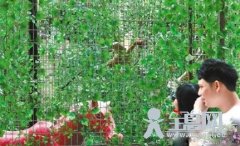 方力钧香港个展 最大体积作品亮相
