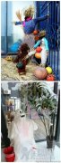 幼儿园的万圣节装饰