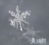 雪花有多大