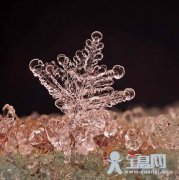 雪花为什么是六角形的？