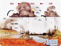 酸雨对陆地生态系统的危害