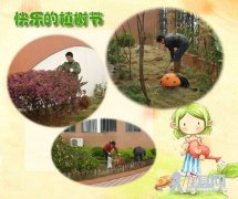 大家都来植树，地球妈妈更健康（幼儿园植树节教案）