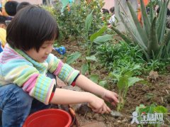 幼儿园植树节活动方案（2篇）