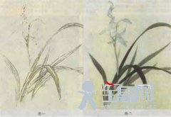 工笔花卉：兰花的画法
