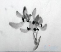兰花花朵画法