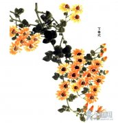 菊花下垂式构图