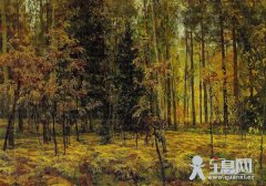 油画去尘