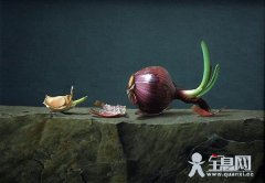 古典油画的底子类型有多少？