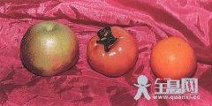 水粉静物写生固有色