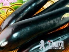 入伏养生：清热解毒9大食物推荐(组图)