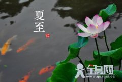 二十四节气之夏至