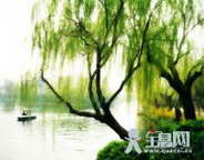 春天