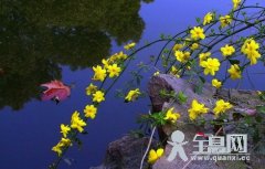 我在春天等你