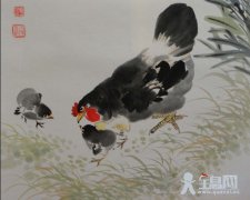 国画母鸡创作步骤
