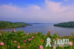 美丽的松山湖