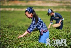 谷雨时节各地风俗