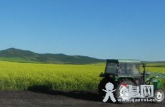 http://cmsapi.quanxi.cc文风的转变与批评的繁荣