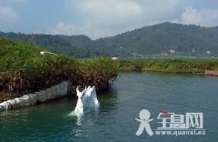 http://cmsapi.quanxi.cc元戎之风 山高水长——评电视剧《聂荣臻》