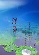 浮萍——幸福
