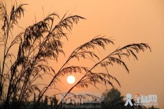 冬天的风在吹