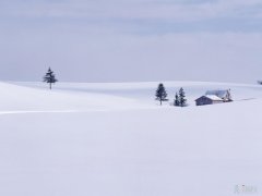 雪