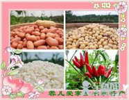 我爱家乡的特产