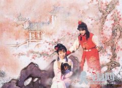 红楼梦是一部政治历史小说