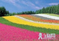 何谓“侧目”?