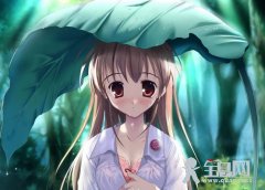 漫画人物五官和脸部的结构