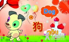 戌狗旺财