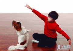 自我介绍_小学作文欣赏