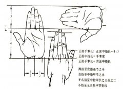人物速写_手的画法