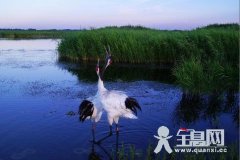 等你轻声唤我