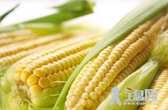 常吃玉米竟有这些好处