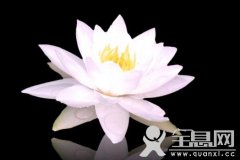 《用岁月在莲上写诗》