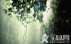 《听雨》
