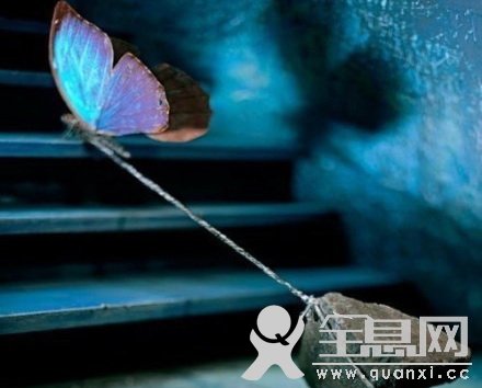 放弃也是一种选择