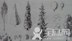 风景速写——树的画法