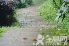 雨后小清新的气味从何而来