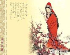 《红楼梦》文学价值