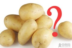 多吃土豆真的会生男孩儿？