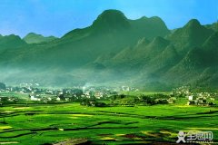  云南高原特色蔬菜：多渠道拓展市场