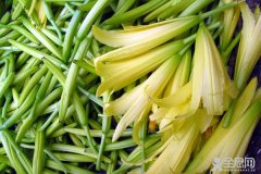 关中黄花菜丰收在望