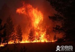 “森林防火”基本知识