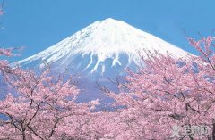 日本推出“空手观光”行李寄存服务 方便外国游客