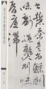 徐渭论书