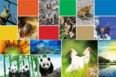 生物多样性保护网形成 85%野生动植物受保护